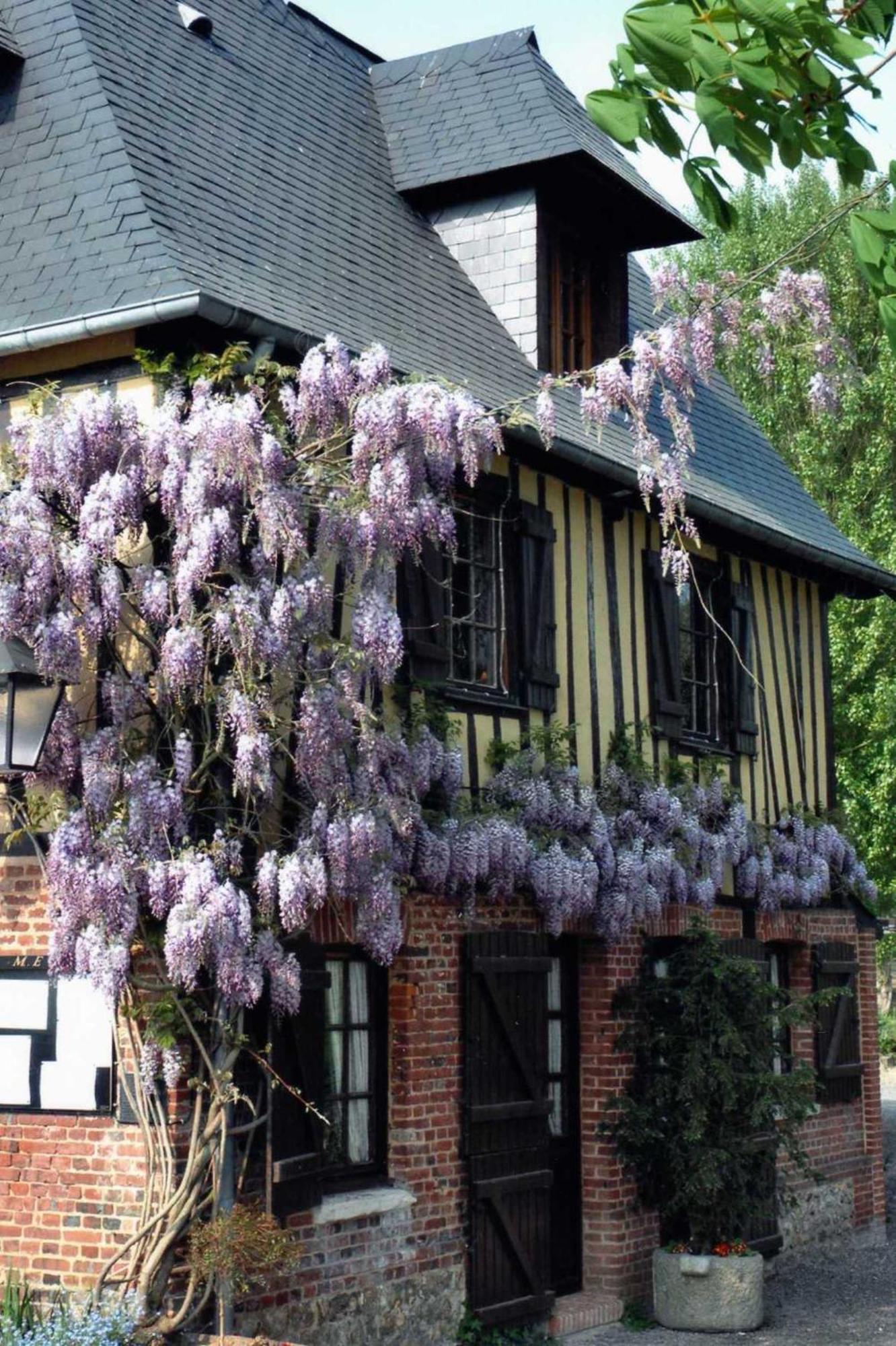 Auberge Du Val Au Cesne Saint-Clair-sur-les-Monts Exterior foto